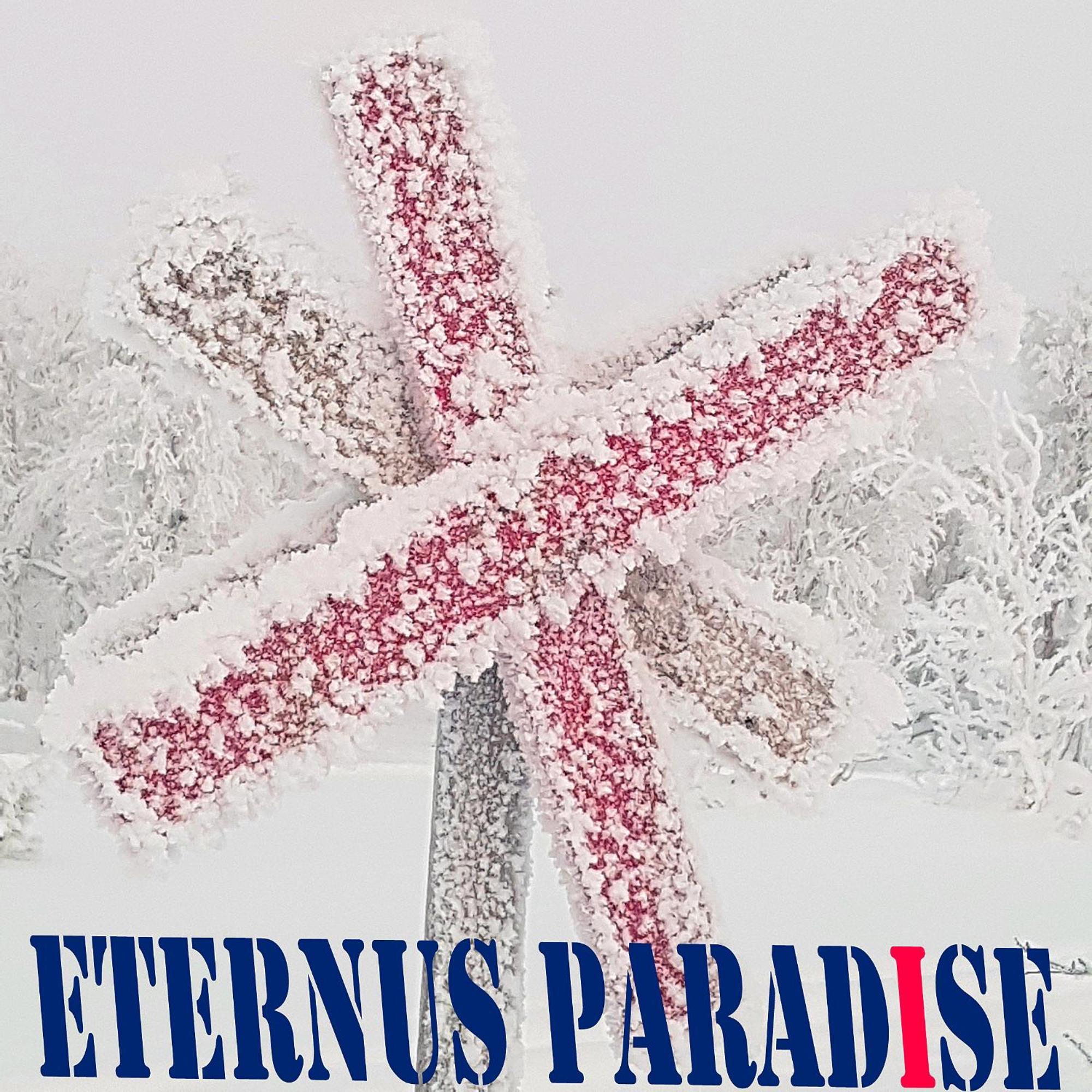 Eternus Paradise Tärnaby Exteriör bild