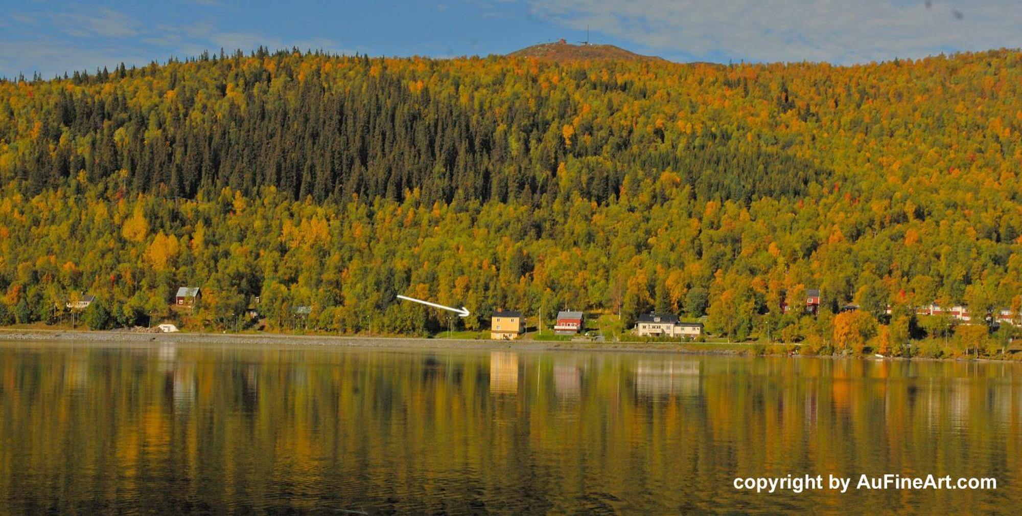 Eternus Paradise Tärnaby Exteriör bild